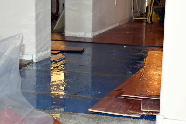 Professional Storm Water Damage Restoration technician working in McClave, CO